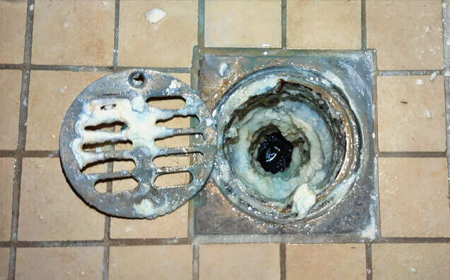 https://blockeddrainssouthperth.com.au/uploads/2025/07/blocked-shower-drains-33151.jpg