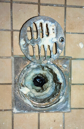 https://blockeddrainssouthperth.com.au/uploads/2025/07/blocked-shower-drains-86331.jpg