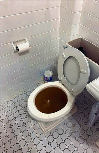 https://blockeddrainssouthperth.com.au/uploads/2025/07/blocked-toilet-42230.jpg